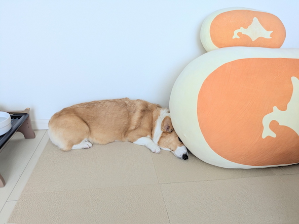 北海道チーズ蒸しケーキのクッションとこまちちゃん