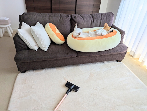 北海道チーズ蒸しケーキのクッションとこまちちゃん