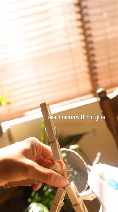 タンポポの保存方法