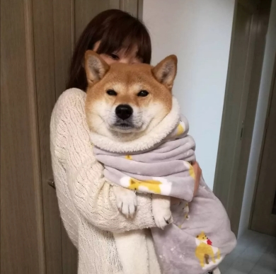 生後2カ月と12年後のビフォーアフター