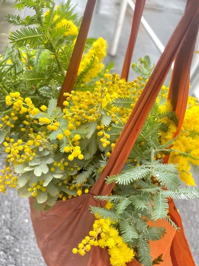 エコバッグいっぱいのミモザ