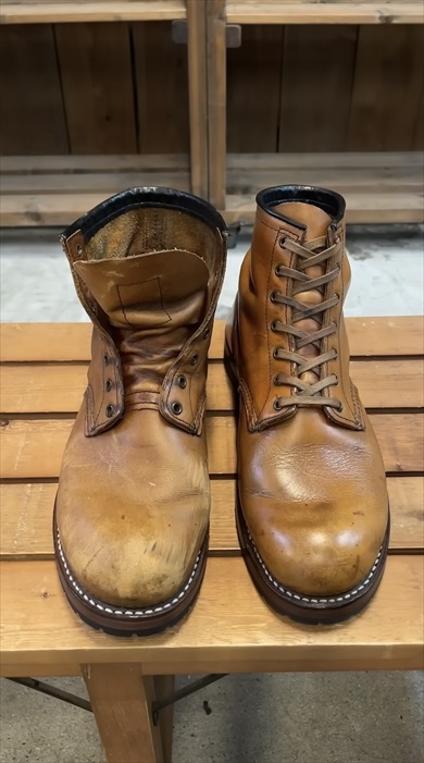 レッドウイングまとめ記事