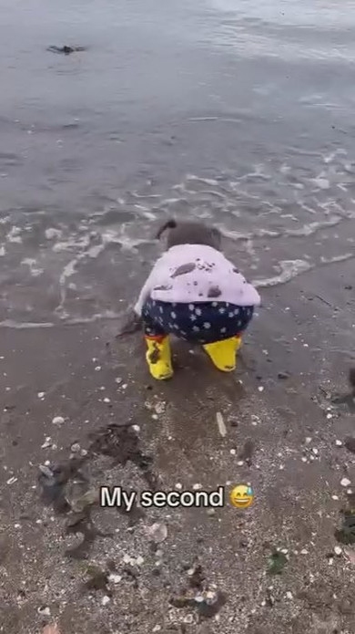 波打ち際ではしゃぐ少女