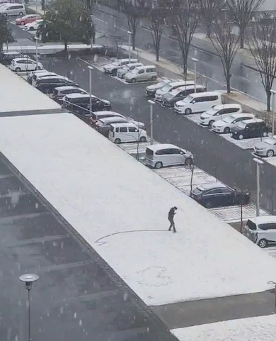 積雪の上に魚の絵