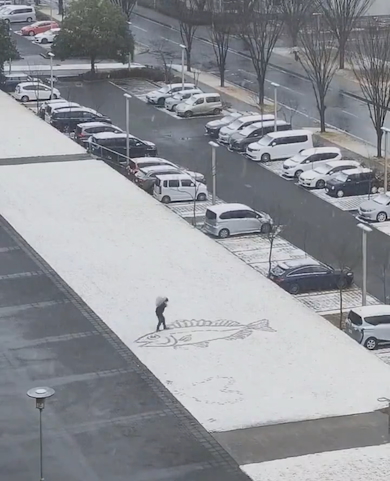 積雪の上に魚の絵