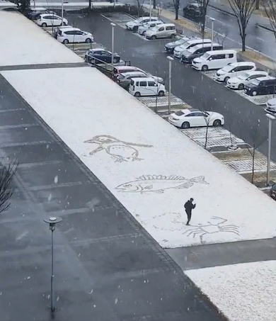 積雪の上に海の生き物を描く