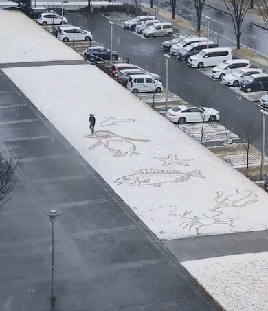 積雪の上に海の生き物を描く