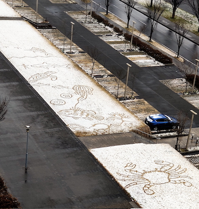 積雪の上に海の生き物たちとダイバー