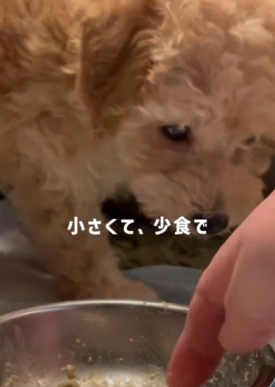 体が小さく、小食で少し心配