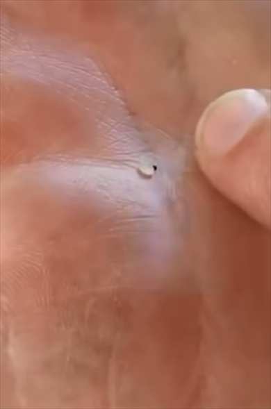 ダイヤを溶岩に入れるとどうなるか