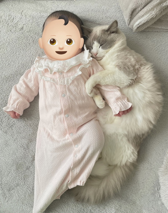 猫と赤ちゃん