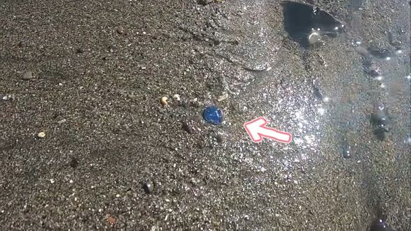 浜辺で見つけたガラス製のおはじき