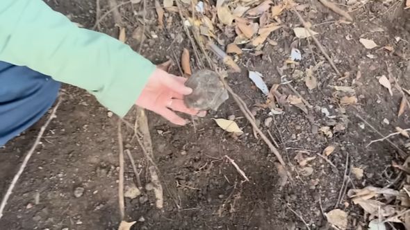 自宅の裏山で発見したコンペイトー瓶のかけら