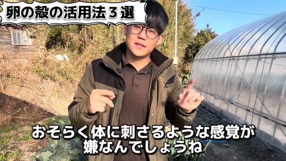 害虫対策として機能する理由を推測する投稿者