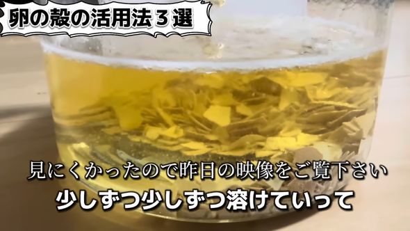 卵の殻を酢につける様子