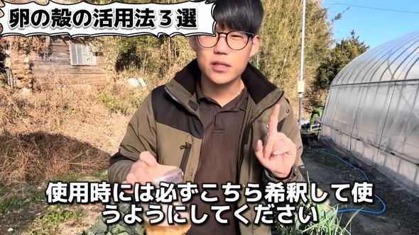 卵の殻を溶かした液体肥料は必ず希釈すること