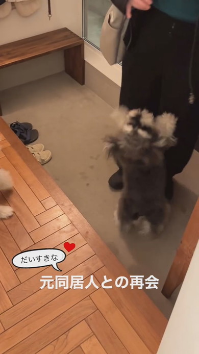 旧友の来訪に喜ぶワンコ