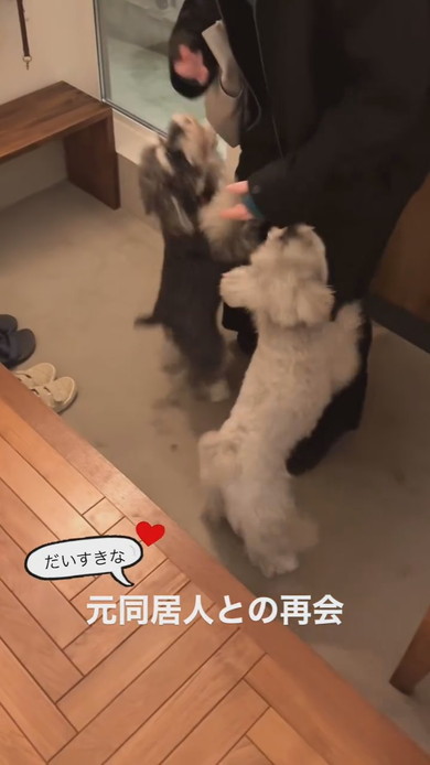 旧友の来訪に喜ぶワンコ