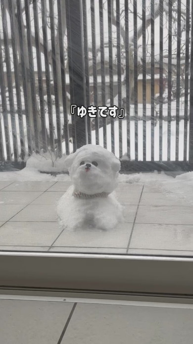 ワンコの雪だるま