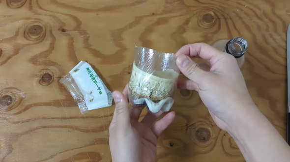 ペットボトルでエノキタケを再生栽培
