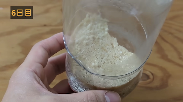 ペットボトルでエノキタケを再生栽培