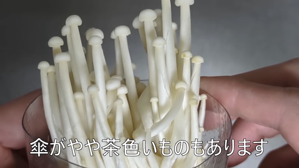 ペットボトルでエノキタケを再生栽培