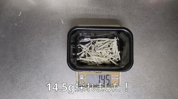 ペットボトルでエノキタケを再生栽培