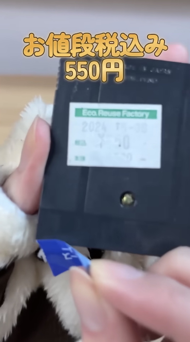 ラベルのないゲームボーイソフトを購入