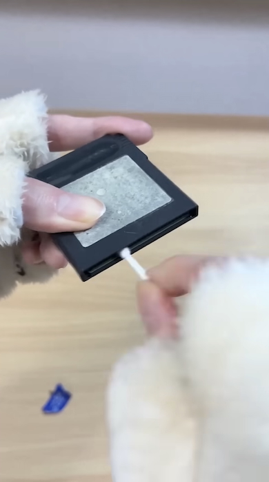 ラベルのないゲームボーイソフトを購入