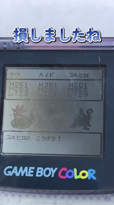 ラベルのないゲームボーイソフトを購入