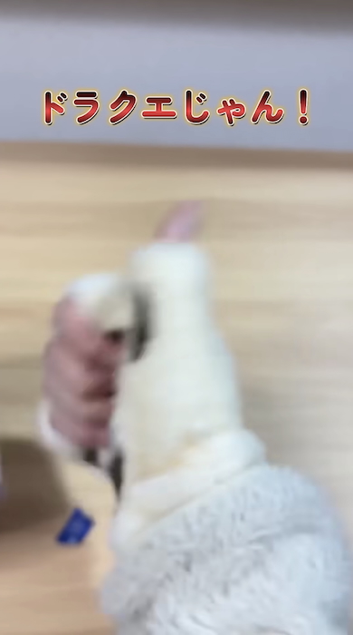 ラベルのないゲームボーイソフトを購入