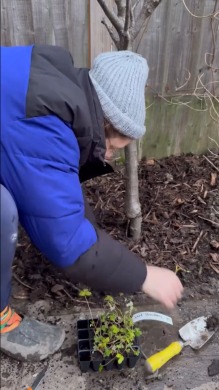 大荒れの庭を1年かけてDIY