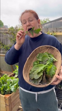 大荒れの庭を1年かけてDIY