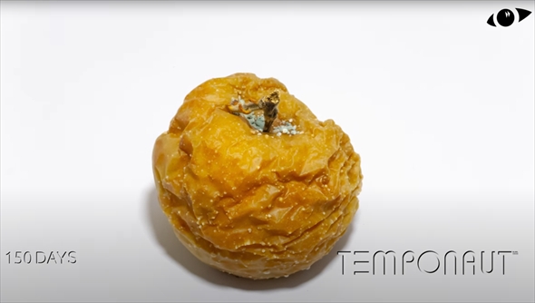 193日間青りんごを放置