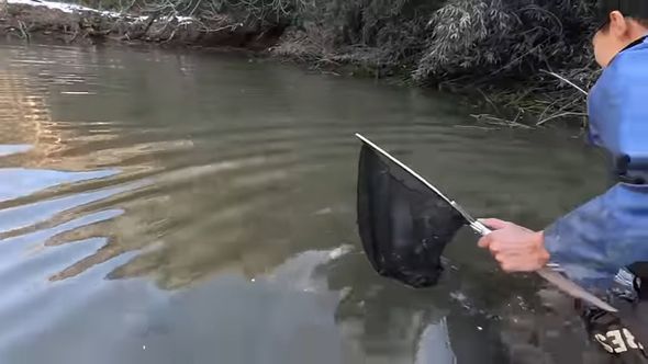 谷にある池の水を抜いて生態調査