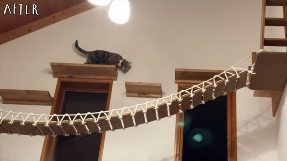 築28年 中古住宅 3年 DIY リフォーム 記録 ビフォーアフター