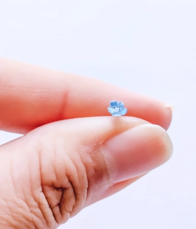 刺しゅう糸だけで作ったネモフィラ