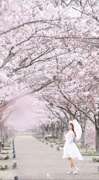 写真家が撮影した自撮りに見えない自撮り写真