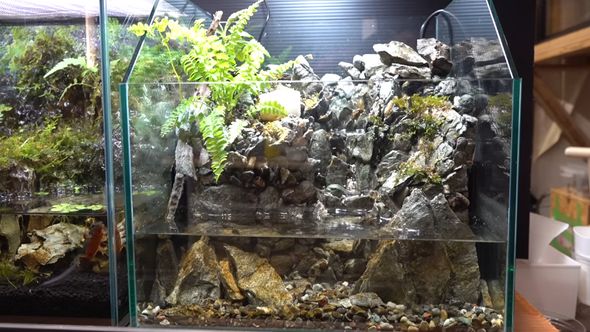 メンテナンス後の滝が流れるアクアテラリウム