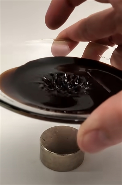 磁性流体を磁石に近づけると