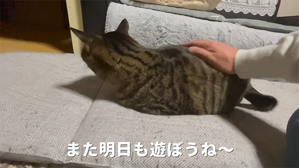 また明日も