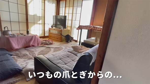 いつもの爪とぎ