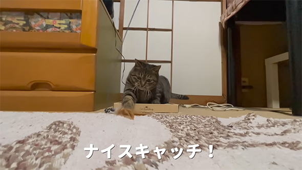 ナイスキャッチ