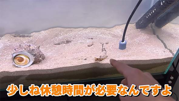 休憩時間が必要