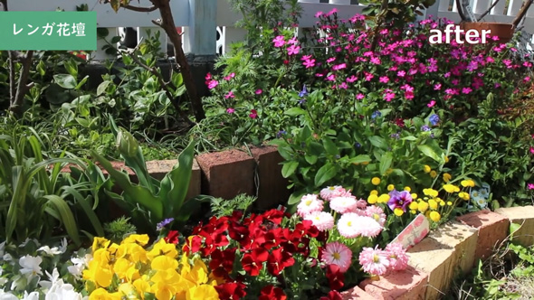 庭作り DIY 10年かけて 1人 女性 制作 ビフォーアフター