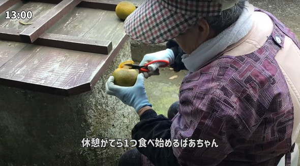 おばあちゃんの1日