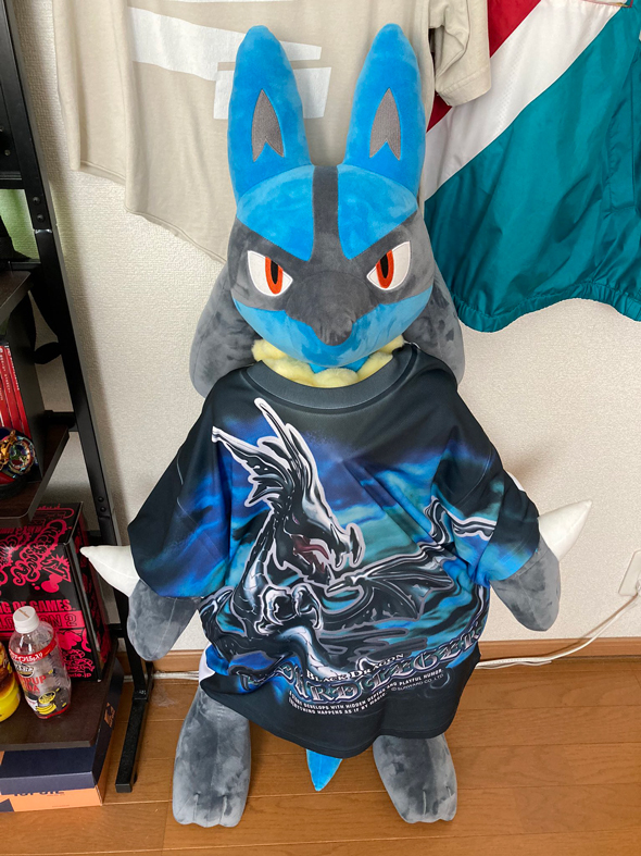 ポケモンfit ポッチャマ　ポッタイシ　エンペルト　ルカリオ　コリンク　もちもの ポケモン指人形 ポッチャマ ポッタイシ エンペルト 進化セット
