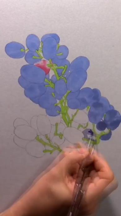 ブドウの絵の描き始め
