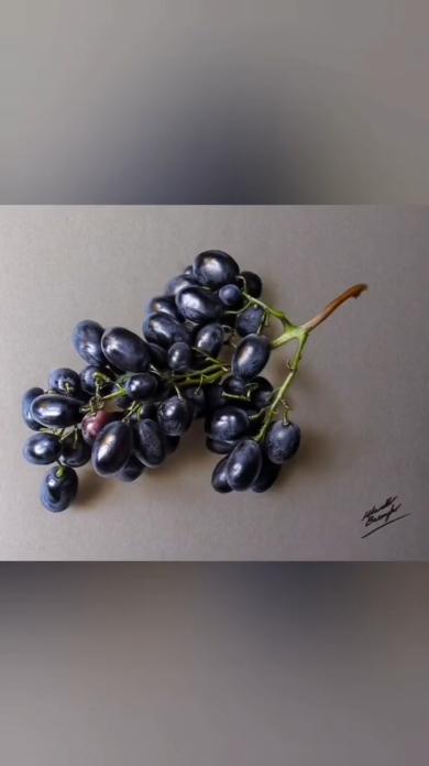 写真のようなブドウの絵