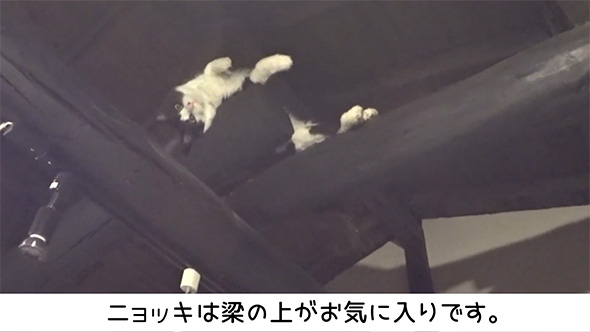 ニョッキは梁の